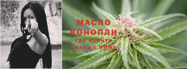 гидропоника Бородино