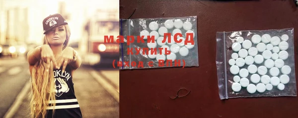 гидропоника Бородино