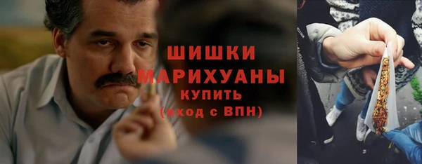 гидропоника Бородино