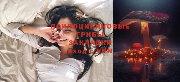 гидропоника Бородино
