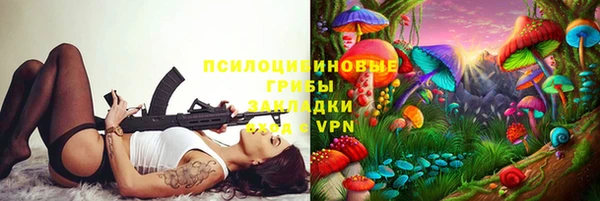 гидропоника Бородино