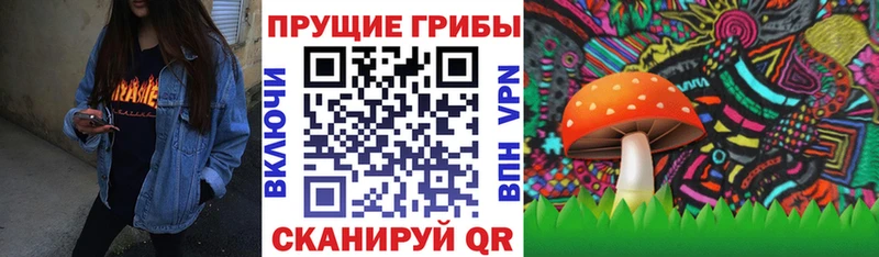 блэк спрут как войти  продажа наркотиков  Новотроицк  Галлюциногенные грибы Magic Shrooms 
