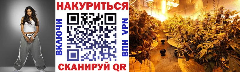 Шишки марихуана гибрид  Новотроицк 